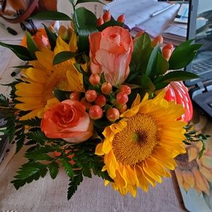 Meet your Posher, Lesley